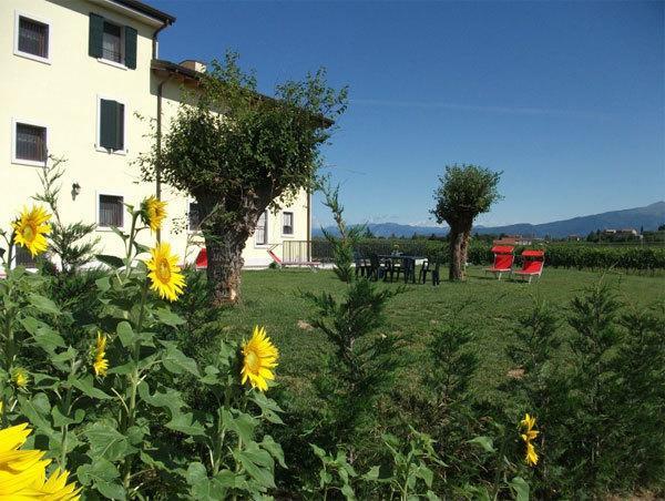 מלון קסטלנואובו דל גארדה Agriturismo Anna Caterina מראה חיצוני תמונה